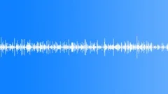 Raindrops Dripping Loop 05 Sound Effect