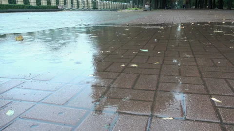 Raindrops dripping into a puddle in 4K Stock Footage 140336421