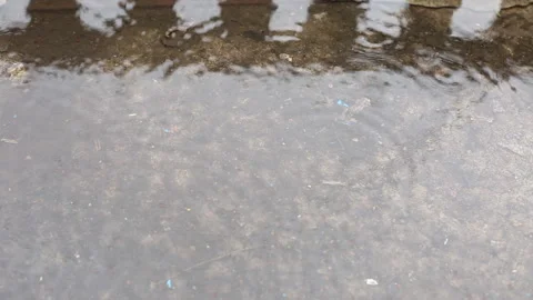 Raindrops dripping into a puddle. Stock Footage 133822888
