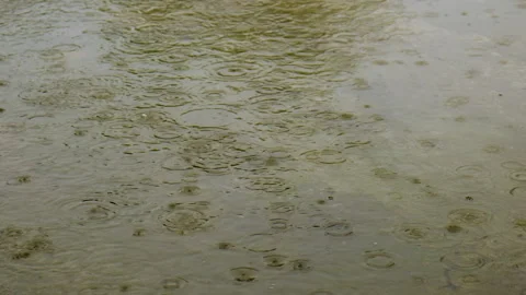 Raindrops dripping into puddles. Selective focus. Stock Footage 317250756