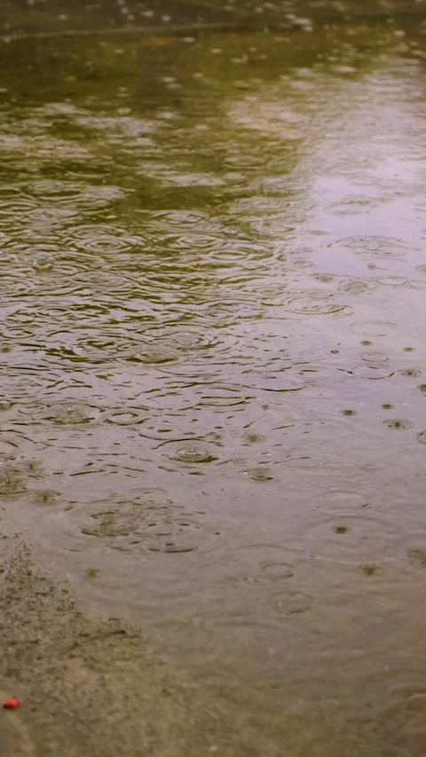 Raindrops dripping into puddles. Selective focus. Stock Footage 317250840