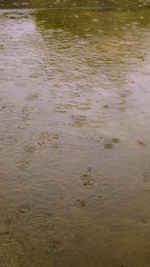 Raindrops dripping into puddles. Selective focus. Stock Footage 317878134