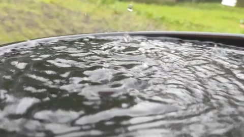 Raindrops during the day Stock Footage 233374906
