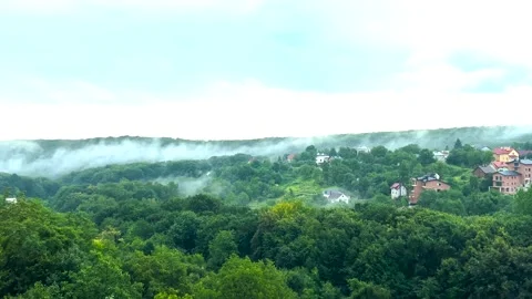 Raindrops fall against the background of trees in a forest and fog. Stock-Footage 297062739