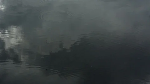 Raindrops Fall into Calm Water 스톡 동영상 93117207