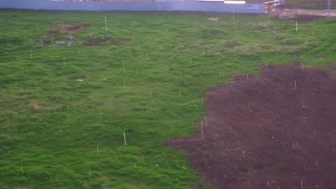 Raindrops fall on the city and field. The sun during the rain. Stock Footage 199312952