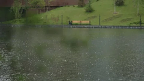 Raindrops fall into the city pond. Summer rain in the city. Stock Footage 320889412