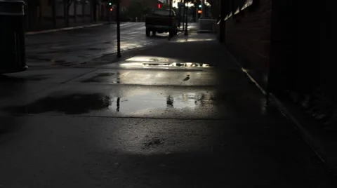 Raindrops fall into a city sidewalk Puddle Stock Footage 40745372