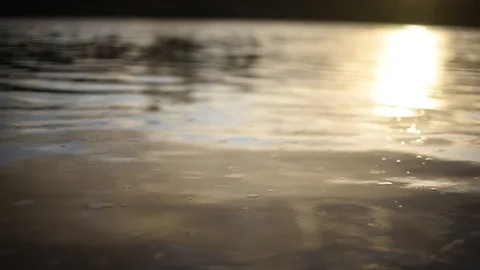 Raindrops fall on the clean surface of the water surface of the river Stock Footage 113323357