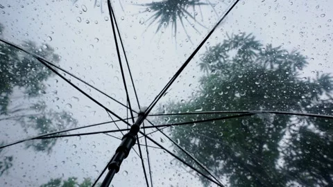 Raindrops fall on clear umbrella Vídeos de archivo 283066408