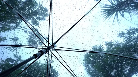 Raindrops fall on clear umbrella Video stock 283066409