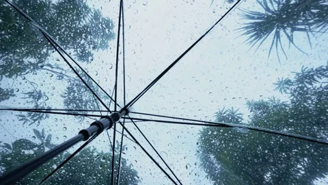 Raindrops fall on clear umbrella Video stock 283066414
