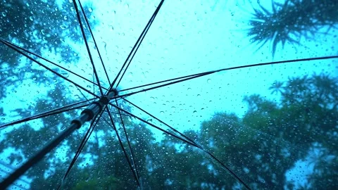 Raindrops fall on clear umbrella Video stock 283066665