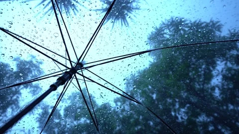 Raindrops fall on clear umbrella Video stock 283066666
