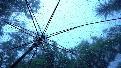 Raindrops fall on clear umbrella Video stock 283066670