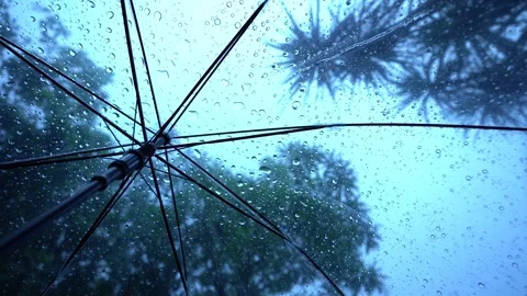 Raindrops fall on clear umbrella Video stock 283066674