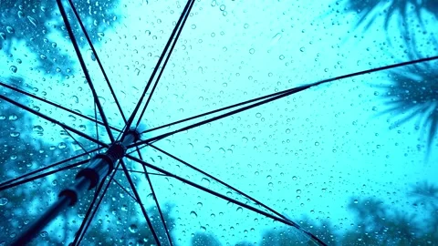 Raindrops fall on clear umbrella Video stock 283066723