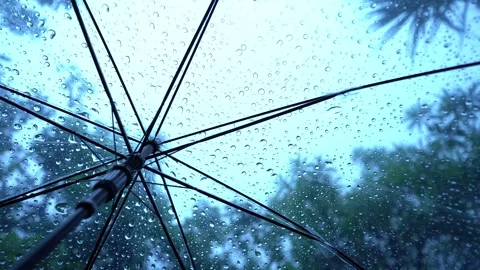 Raindrops fall on clear umbrella Video stock 283066901