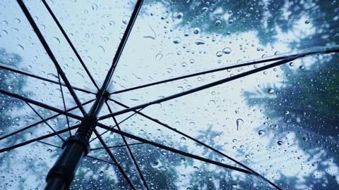 Raindrops fall on clear umbrellas Video stock 283066734