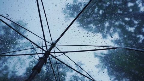 Raindrops fall on clear umbrellas Video stock 283066773