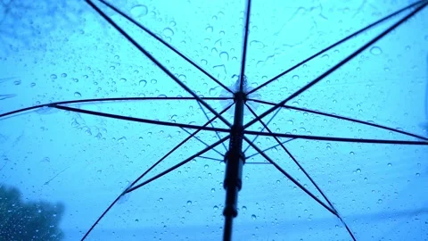 Raindrops fall on clear umbrellas under a dry tree branch 스톡 동영상 217362716