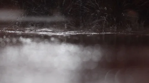 Raindrops fall on a concrete floor. Stock Footage 94334760