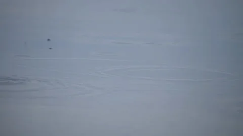 Raindrops fall down on the background of the reservoir, leaving circles, macro Video stock 205480360