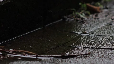 Raindrops fall down 스톡 동영상 221671564