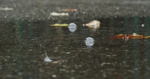 Raindrops fall Stock Footage 140235175