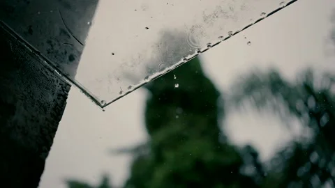 The raindrops fall from a glass awning. A rainy and depressing day. Stock Footage 221509707