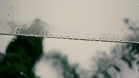 The raindrops fall from a glass awning. A rainy and depressing day. slow motion Video stock 221509761