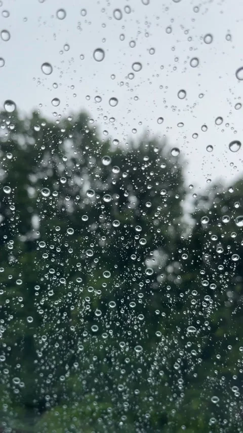 Raindrops fall on the glass. Stock Footage 312967055