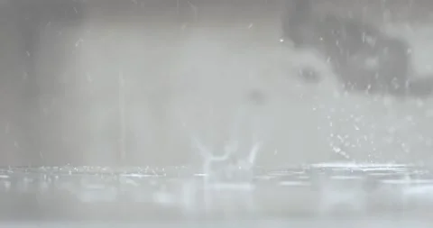 Raindrops Fall To The Ground In Slow Motion Over A Blurred White Background Stock Footage 136563415