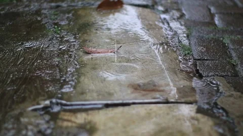 Raindrops fall from gutters in the afternoon Video stock 218071918