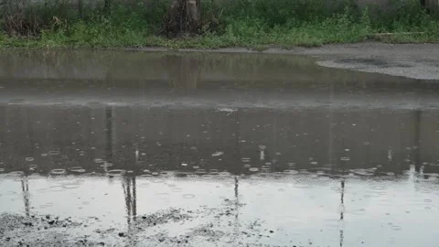 Raindrops fall into a large water puddle on asphalt road. Stock Footage 340978395