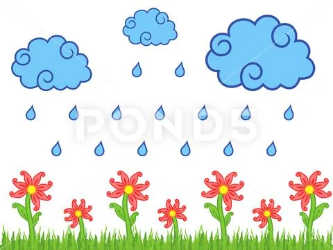 Raindrops fall on the meadow flowers Stock Illustration