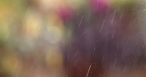 Raindrops Fall Over A Blurred Natural Background Stock Footage 136566736