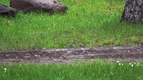 Raindrops fall on the paving stones in the summer Park Stock Footage 133308882