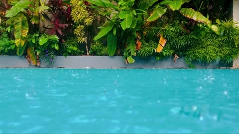 Raindrops fall into the pool surrounded by a beautiful garden during the heavy Stock Footage 268161530