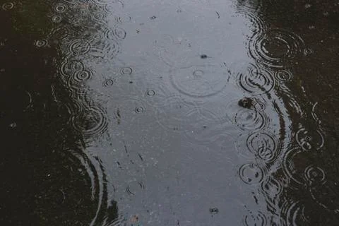 Raindrops fall into a puddle. Abstract water background Stock Photos