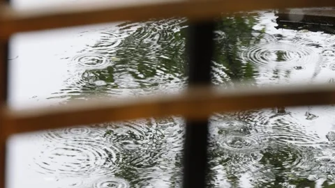 Raindrops fall into a puddle and create Video stock 327784617