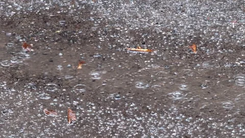 Raindrops fall into a puddle on asphalt with bubbles and dry leaves Stock Footage 340644437