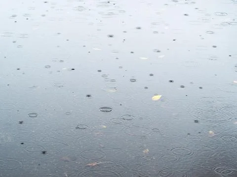 Raindrops fall in puddle asphalt road in autumn Stock Photos