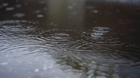 Raindrops fall into a puddle in the city day Stock Footage 112004691