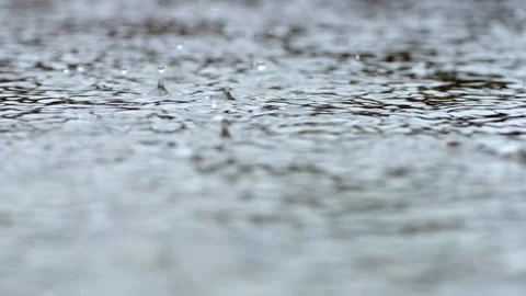 Raindrops fall into a puddle during a downpour in slow motion. Stock-Footage 204158704