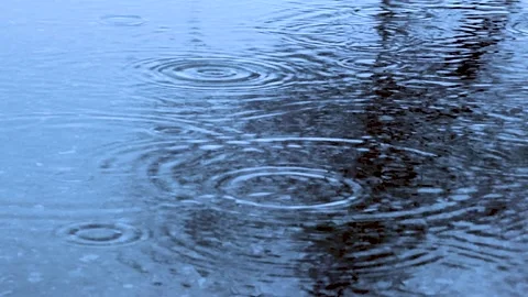 Raindrops Fall Into a Puddle During a Downpour.  Stock Footage 225448466