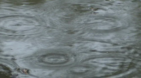 Raindrops fall in puddle Stock Footage 459933