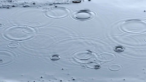 Raindrops fall on a puddle Stock Footage 117583144