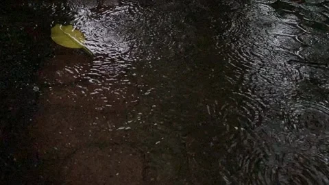 Raindrops fall into puddle Stock Footage 326310135