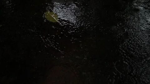 Raindrops fall into puddle Stock Footage 326310229